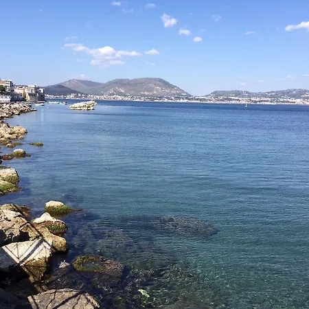 Liaison Баколи